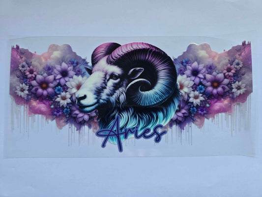 #531